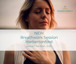 Image result for Harbertonford A F C