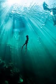 Image result for Blue Water Freediving School
