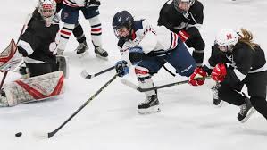 Image result for New Milton Hockey Club