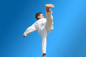 Image result for Mickleham Seiki Juku Karate Club