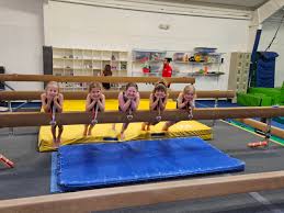 Image result for Harnham Gymnastics Club