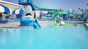 Image result for Dolphins Sheltered & Disabled Swim Club