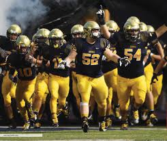 Image result for Aquinas Football Club