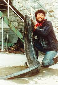 Image result for British Conger Club