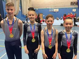 Image result for Redcar Gymnastics Club