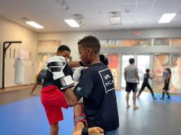 Image result for Apollo Martial Arts Academy