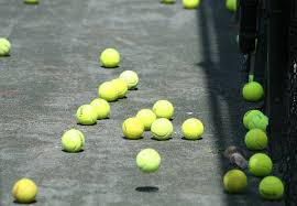 Image result for Lane Tennis Club Ltd