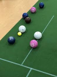 Image result for Npl Ladies Bowls Club