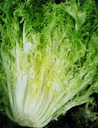 Image result for Endivie