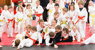 Image result for Windsor Karate Club