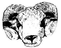 Image result for Knaresborough Rufc