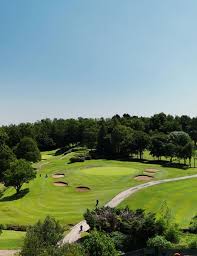 Image result for City Of Preston Gc