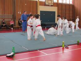 Image result for Holbrook Judo Club
