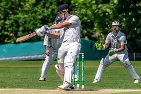 Image result for Mulgrave Cc