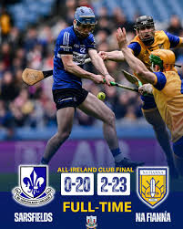 Image result for Sarsfields Hurling Club