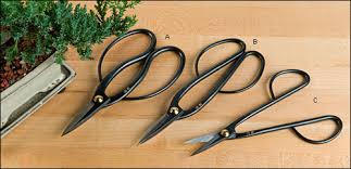 Bonsai Tree Trimming Shears