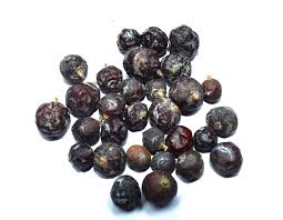 Attēlu rezultāti vaicājumam “Juniperus communis fruit”