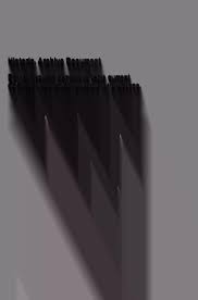 Attēlu rezultāti vaicājumam “Milesina murariae”