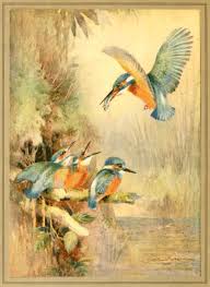 Image result for Kingfisher Twirling Team