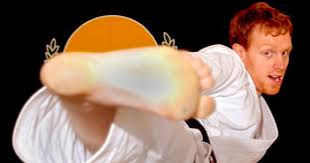 Image result for Haxby karate club