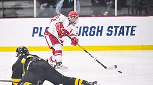 Image result for Norton Cyclones Skater Hockey Club