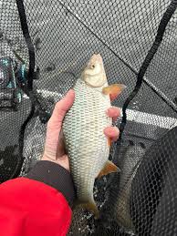Image result for Wakefield Angling Club