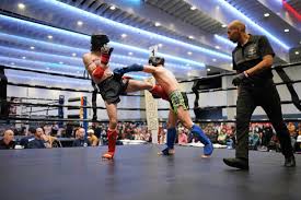 Image result for Muay Thai Clubs