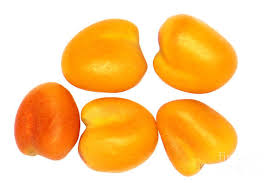 Attēlu rezultāti vaicājumam “Trifolium repens fruit”