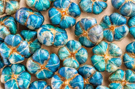 Attēlu rezultāti vaicājumam “Cynosurus cristatus fruit”