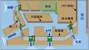 Image result for 高潮 津波 別物