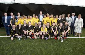 Image result for Great Baddow Cricket Club