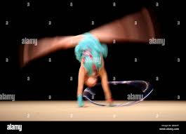 Image result for South Essex Gymnastics Club