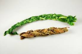 Attēlu rezultāti vaicājumam “Rumex aquaticus fruit”