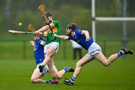 Image result for hurling