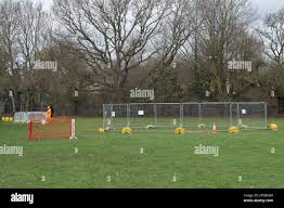 Image result for Ruislip Rfc