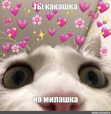 Картинки по запросу ты какашка