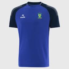 Image result for Collegeland O`rahillys Gaelic Football Club