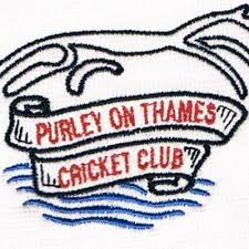 Image result for Theale and Tilehurst Cricket Club