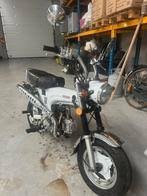 Image result for skyteam pbr teller