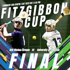 Image result for University Of Limerick Gaa Hurling Club