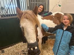 Image result for South Weylands Equestrian