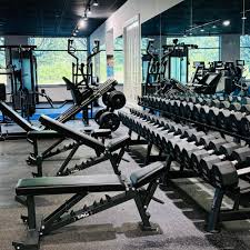 Image result for Arrow Vale Gym Club