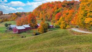 Bildergebnis für Fall…