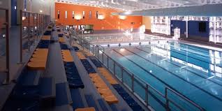 Image result for Elmbridge Phoenix Swimming Club