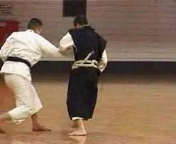 Image result for Southampton University Shorinji Kempo Club