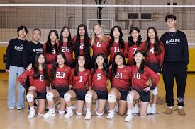 Image result for White Eagles Volleyball Club