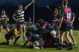 Image result for Royston Rufc