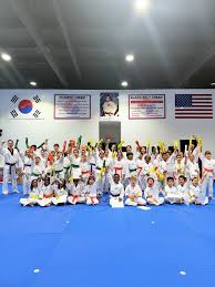 Image result for Park Place Olympic Tkd