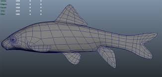 Image result for Moxostoma macrolepidotum