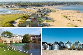 Image result for New Forest/Waterside